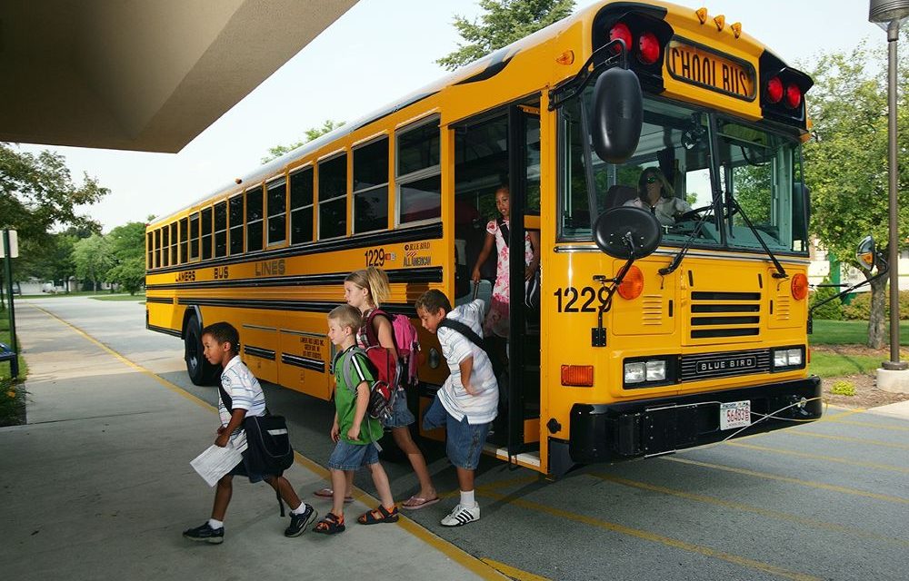 SAFETY FEATURES OF THE SCHOOL BUS